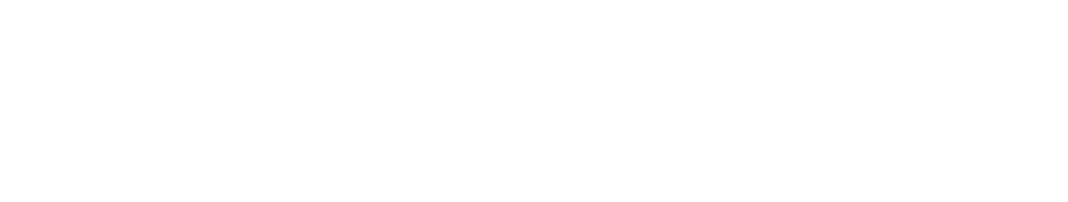 iCatch