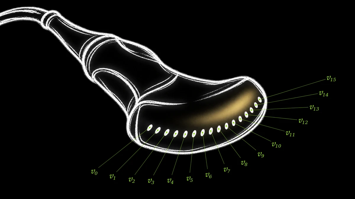 Ultrasound probe illustration showing individual sensor signals